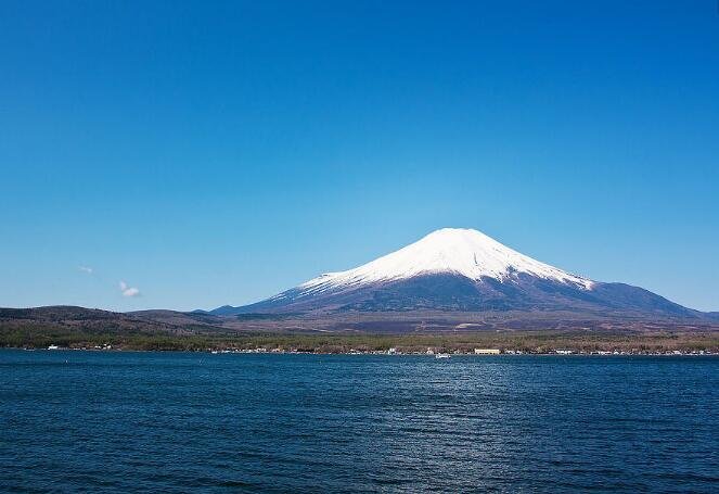 大廚四寶董事長(zhǎng)考察日本調(diào)味品市場(chǎng)謁見(jiàn)日本前首相鳩山由紀(jì)夫