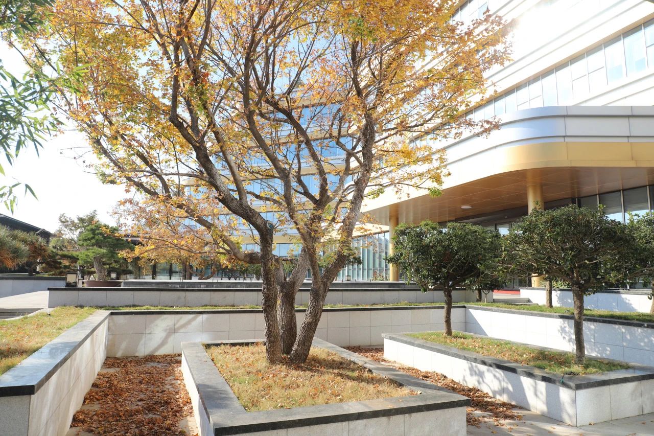 花帝·大廚四寶廠區(qū)的秋