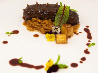 大廚四寶使用教程：蔥燒菜品推薦-蔥燒海參